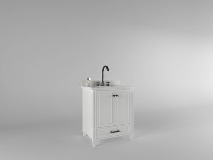 Windsor 29.5 in All Wood Vanity in Bright White - Cabinet Only ER VANITIES