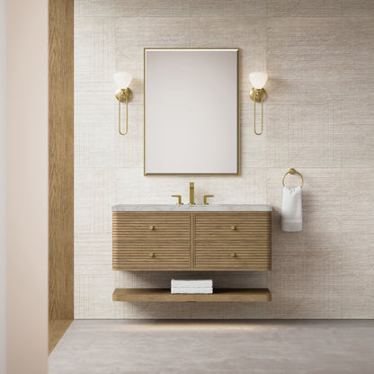 Renovate for Less Atlanta Allamari 48" Single Vanity, Dune Mist w/ 3 CM Victorian Silver Silestone Top