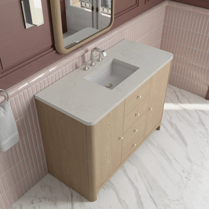 Gracyn 48" Single Vanity, Coastal Driftwood, w/ 3 CM Siberian Silestone Widespread Top, view 5