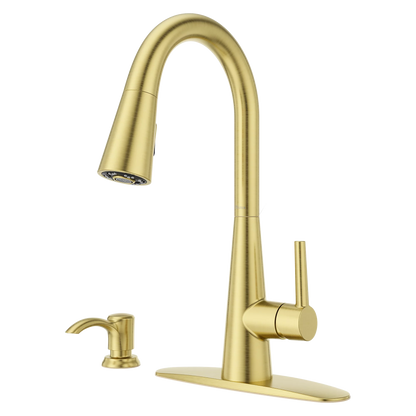 Barulli 1-Handle Pull-Down Kitchen Faucet