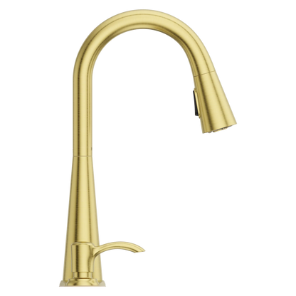 Barulli 1-Handle Pull-Down Kitchen Faucet
