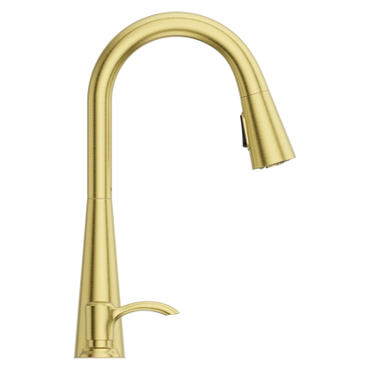 Barulli 1-Handle Pull-Down Kitchen Faucet