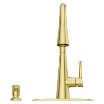 Barulli 1-Handle Pull-Down Kitchen Faucet