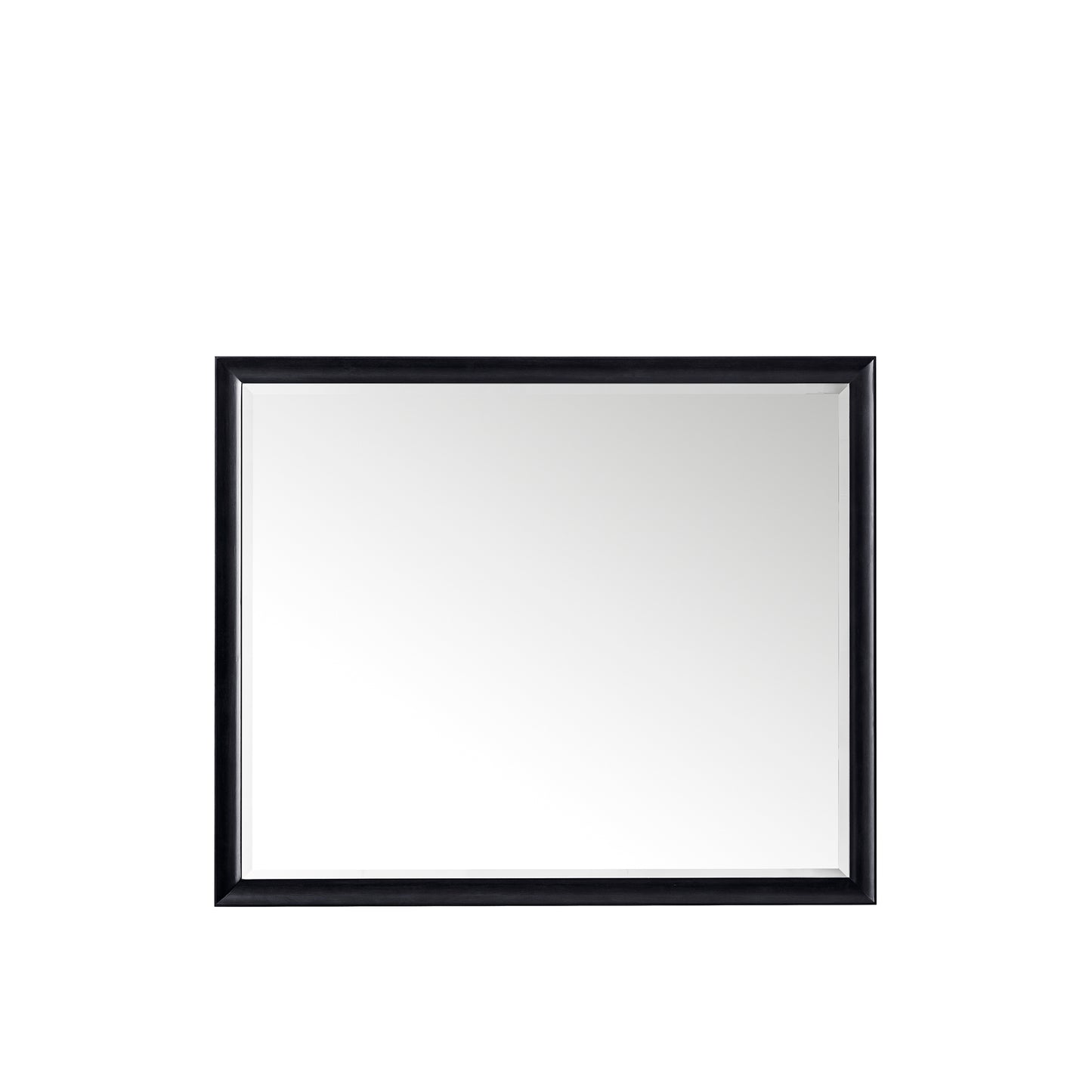 Glenbrooke 48" Mirror, Black Onyx James Martin Vanities