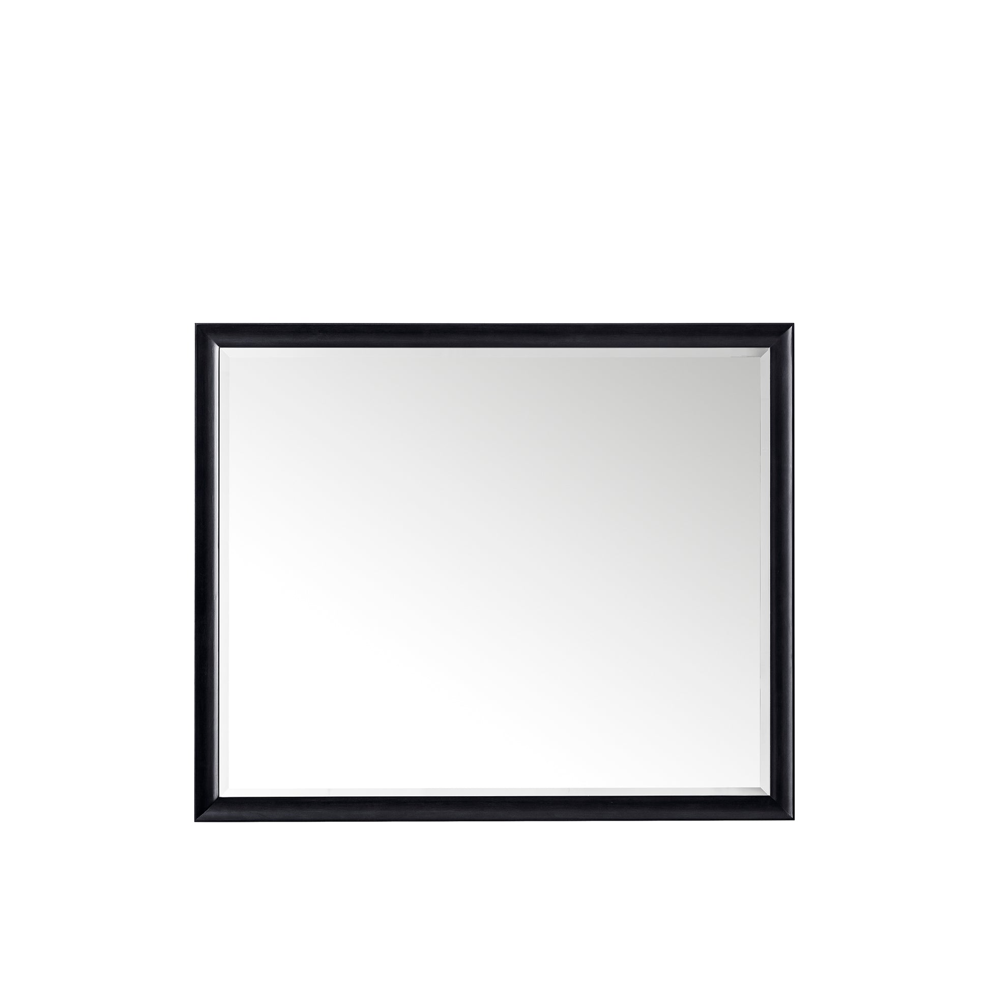 Glenbrooke 48" Mirror, Black Onyx James Martin Vanities