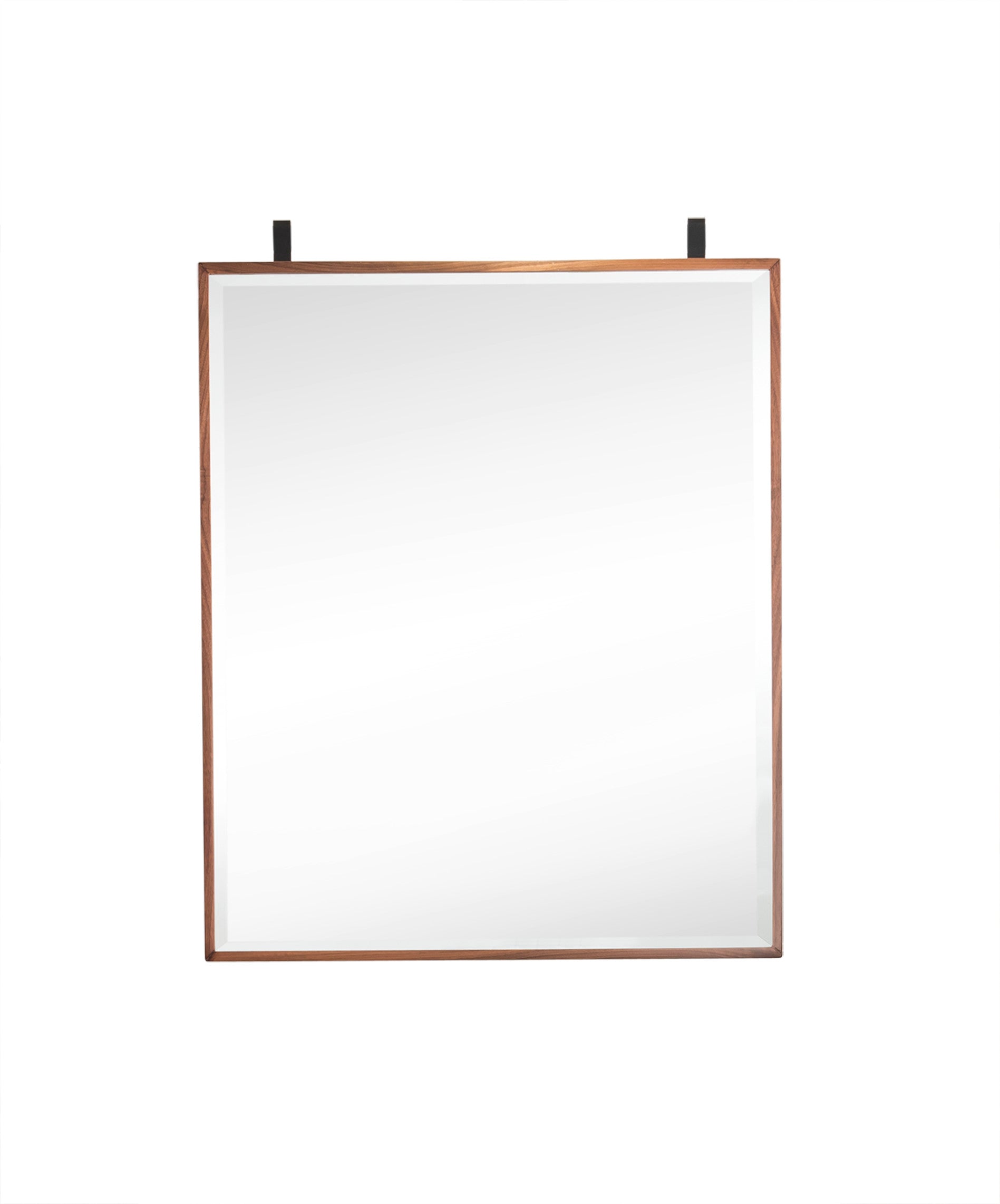 Bathroom Vanities Outlet Atlanta Renovate for LessLakeside 25" Mirror (Medicine Cabinet Style), Mid Century Walnut + Matte Black