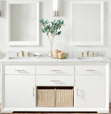 Davyn 72" Double Vanity in White with Quartz Top Signature Hardware